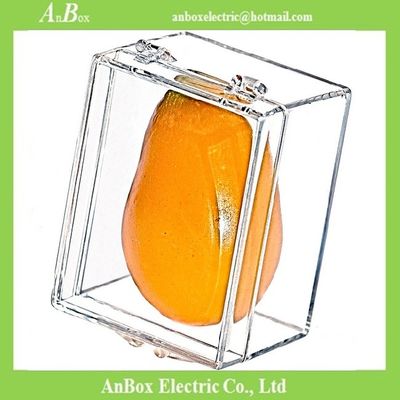 Polycarbonate Rectangular Clear Plastic Enclosure Box